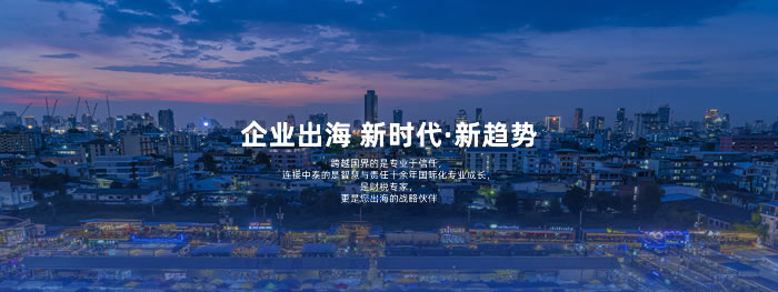大連網站建設-簽約中鑫財稅集團官網建設